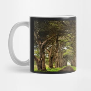 Point Reyes Cypress Tunnel Mug